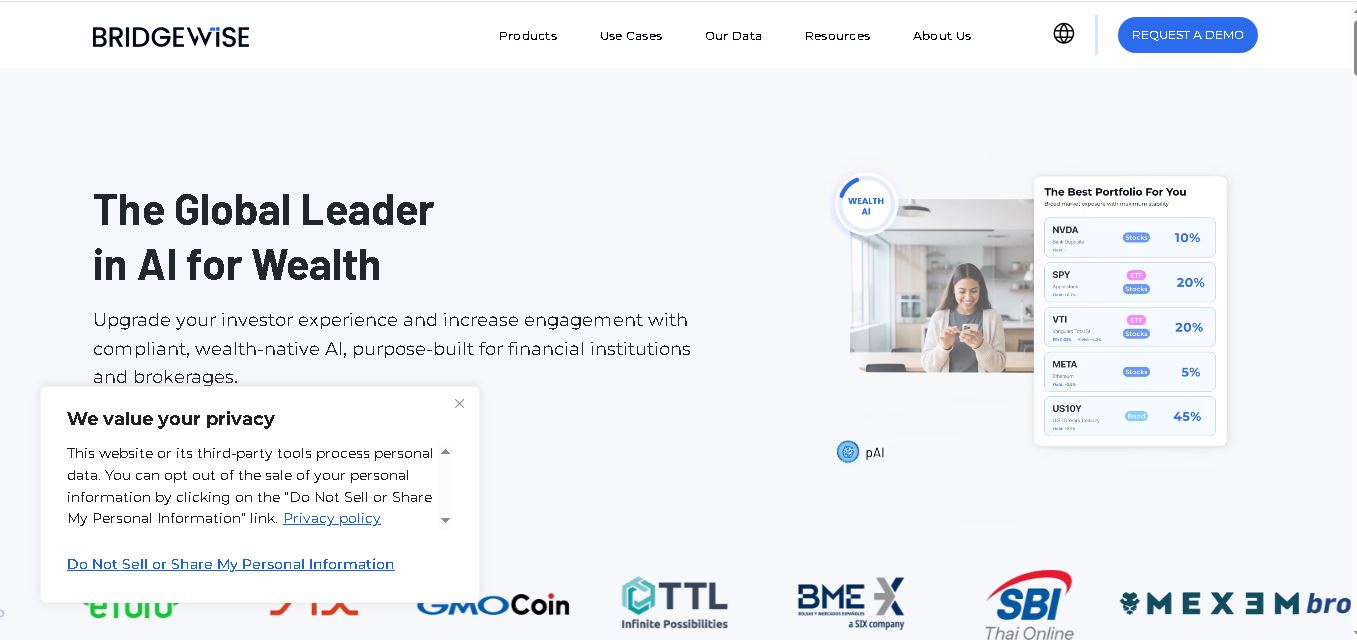 BridgeWise preview