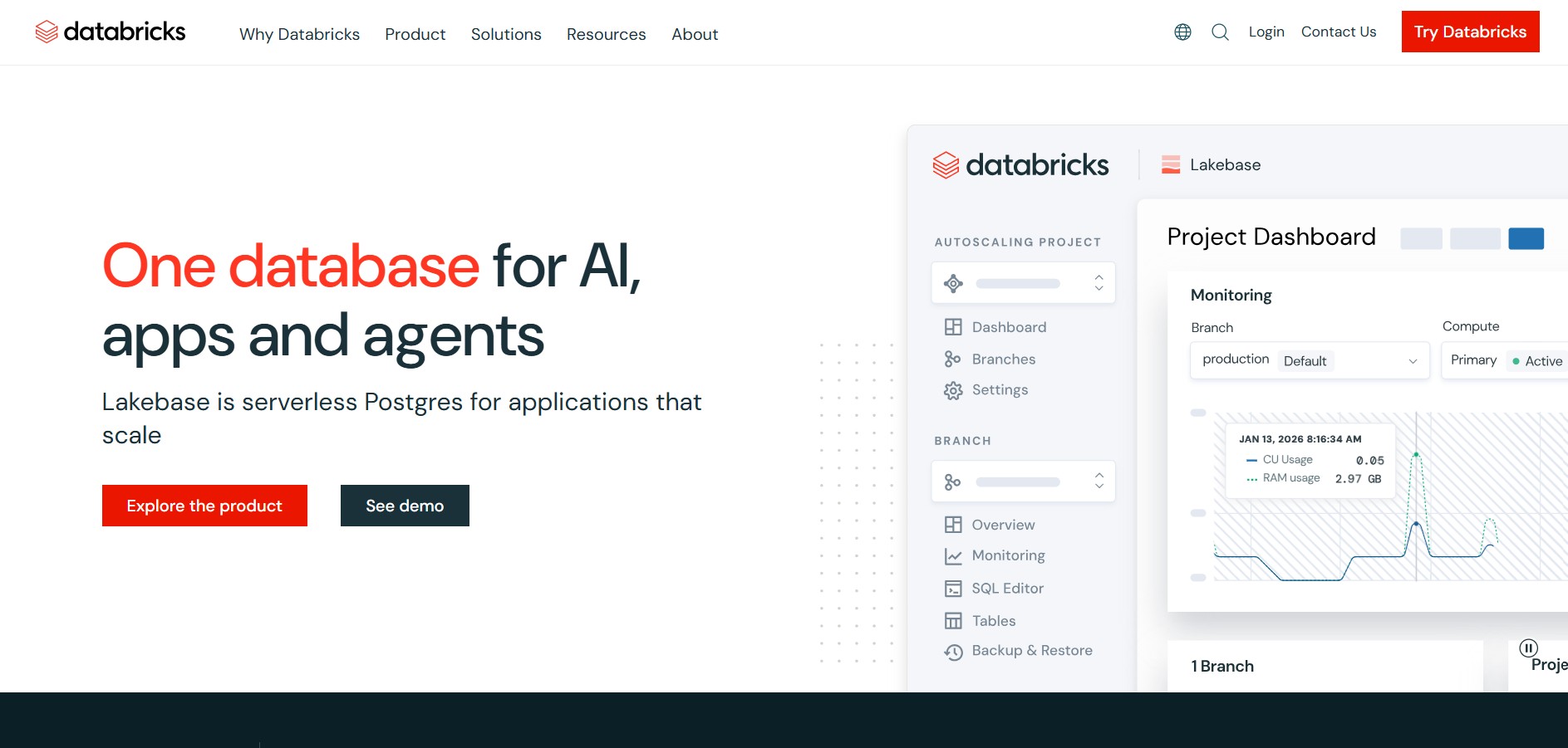 Databricks preview