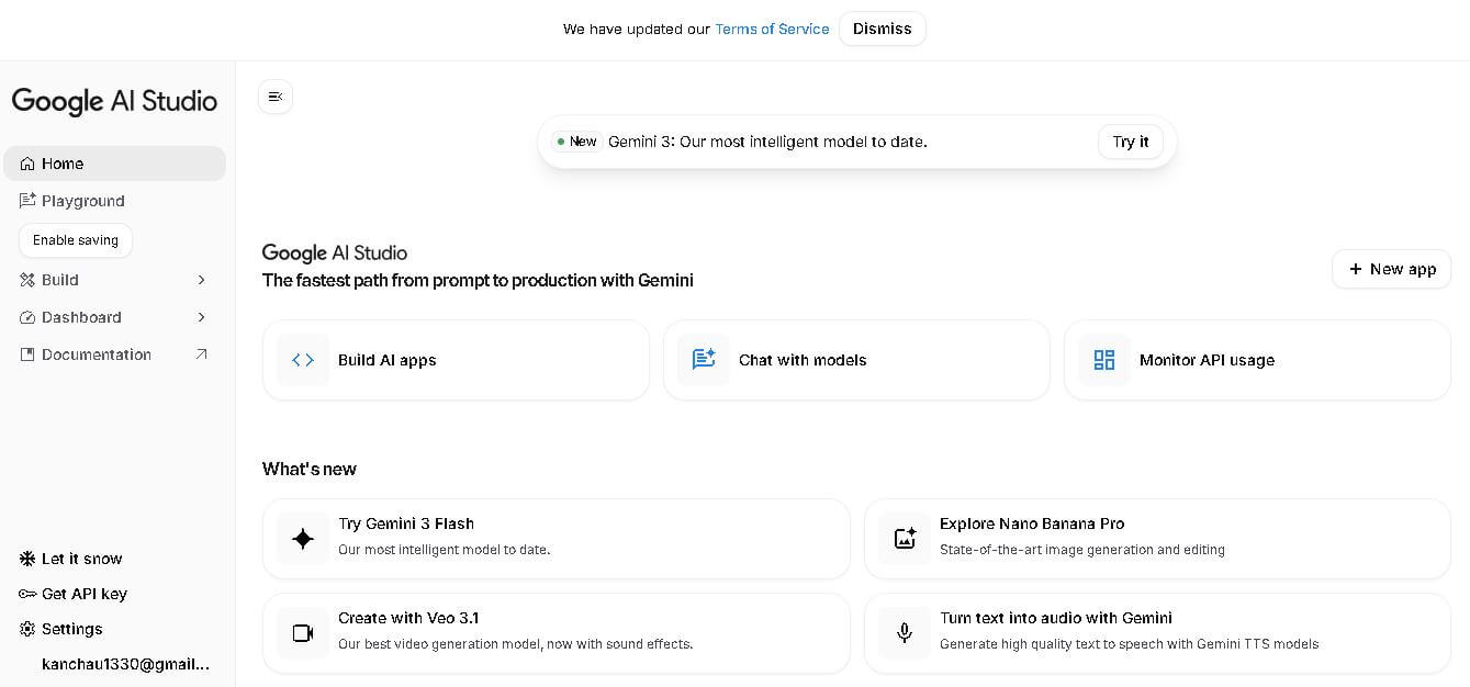 Google AI Studio Preview