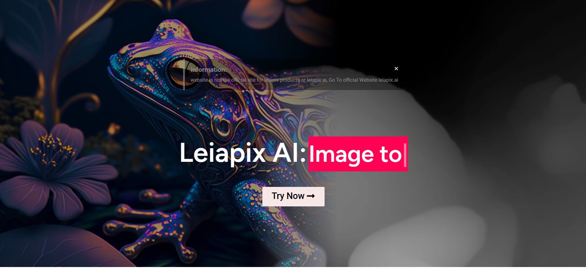 LeiaPix AI