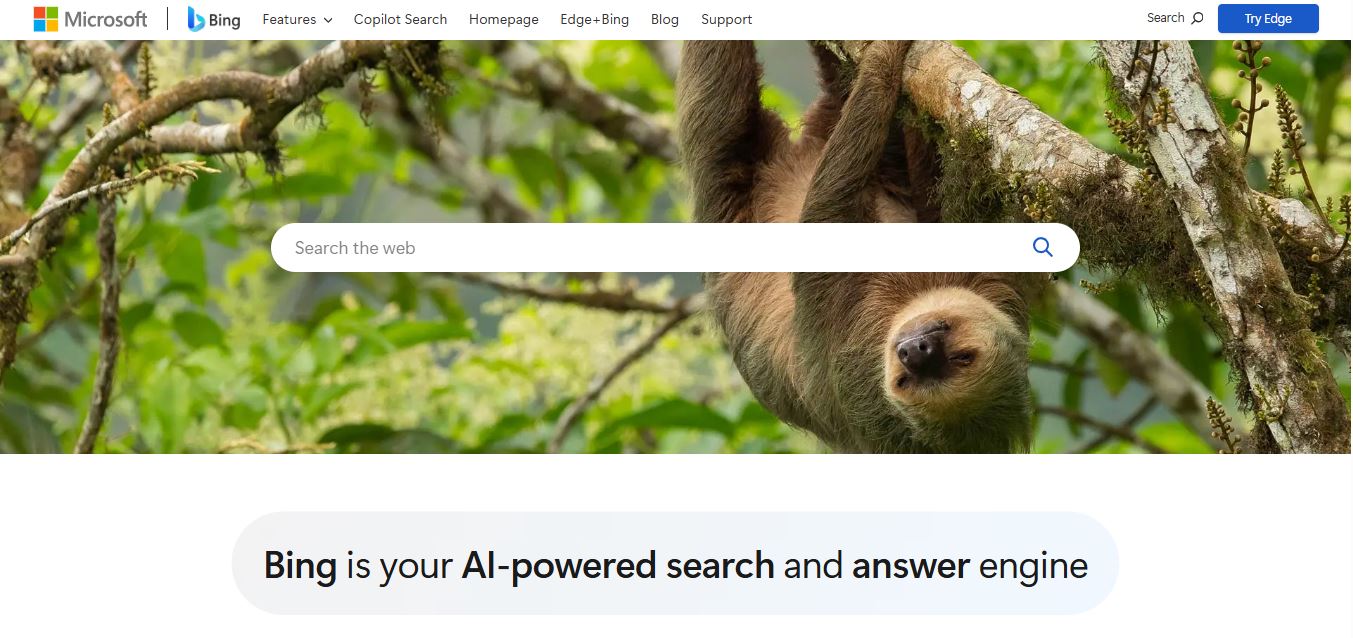 Microsoft Bing Preview
