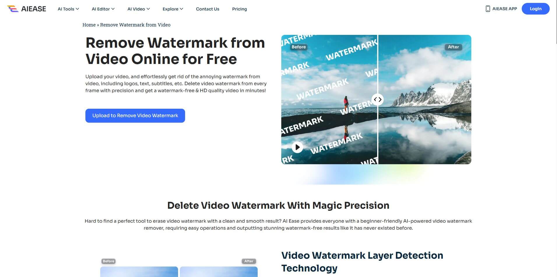 AIEase Video Watermark Remover Preview