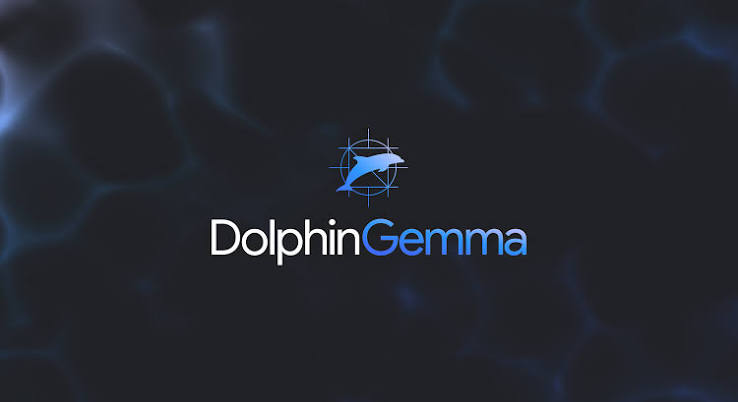 DolphinGemma logo