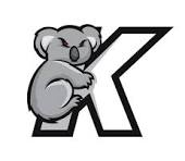 Koala AI logo