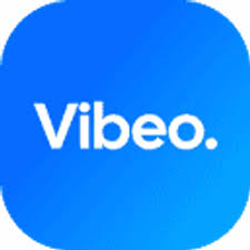 Vibeo Pro