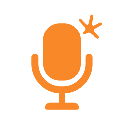 VoiSpark logo