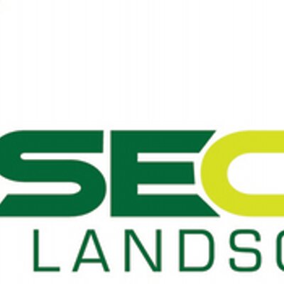 Wisecut logo