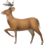 DeerFlow logo